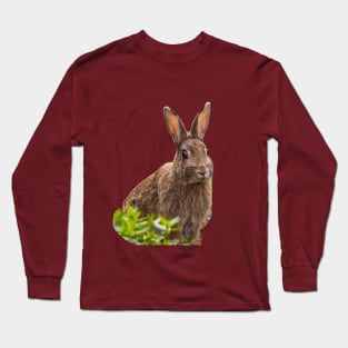 Alert Wild Rabbit Long Sleeve T-Shirt